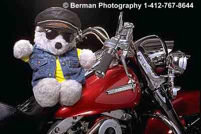 Teddy Biker Bear on a Harley Davidson motorcycle