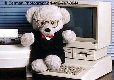 Mr Computer Teddy Bear hard at work. 