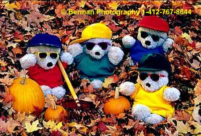 Teddy Bears playing in the autumn leaves.