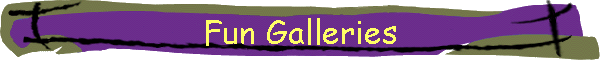 Fun Galleries