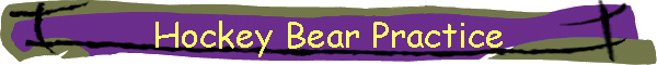 Hockey Bear Practice