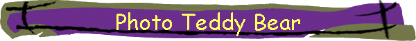 Photo Teddy Bear