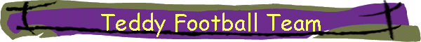 Teddy Football Team