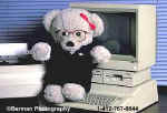 400ComputerBearFemale.jpg (16351 bytes)