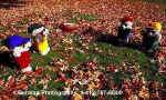 400FootballGame.jpg (31132 bytes)