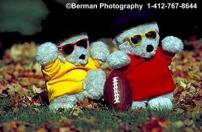 Teddy Bear kickoff to start the football game. 