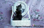 400KittenWickerMirror.jpg (17204 bytes)