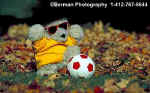 400SoccerBear.jpg (16257 bytes)