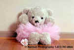 BallerinaBear.jpg (10845 bytes)