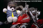 BikerBear.jpg (18364 bytes)