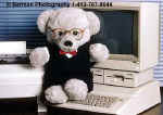 ComputerBear.jpg (17389 bytes)