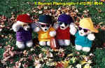 FootballBears.jpg (28597 bytes)