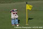 GolfBear.jpg (12024 bytes)