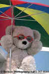 LifeguardBear.jpg (14864 bytes)