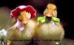 MomAndPopDucks1.jpg (10934 bytes)