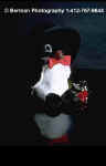 PenguinInTopHat.jpg (6853 bytes)