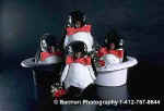 PenguinsWithBowties.jpg (10983 bytes)