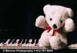 PianoBearWithFootprints.jpg (12617 bytes)