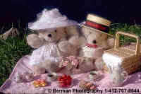PicnicBears.jpg (16691 bytes)