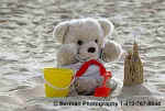 SandcastleBear.jpg (17496 bytes)