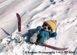 SkiBearWipeOut.jpg (17437 bytes)