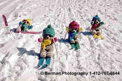 Its always the same Teddy Bear that falls when theyre downhill skiing. Oops. 
