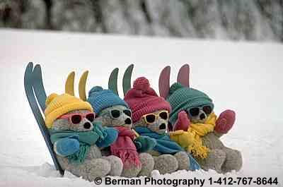 Ski Teddy Bears catching some rays during a mid afternoon break