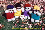 SoccerBears.jpg (28513 bytes)