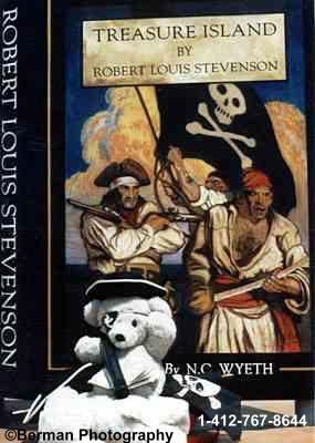 Teddy Bear reading Treasure Island 