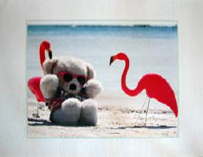 Teddy Bear Poster