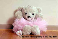 Click Here to Visit this Gallery!