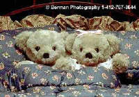 Click Here to Visit this Gallery!