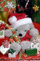 Click Here to Visit this Gallery!