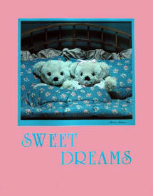 Sweet Dreams Poster